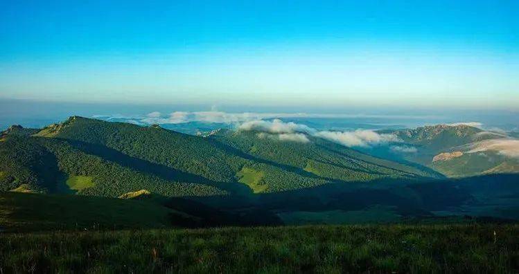 赤峰市林業(yè)局綠色之旅，探索自然美景，尋求內(nèi)心平靜的最新動(dòng)態(tài)
