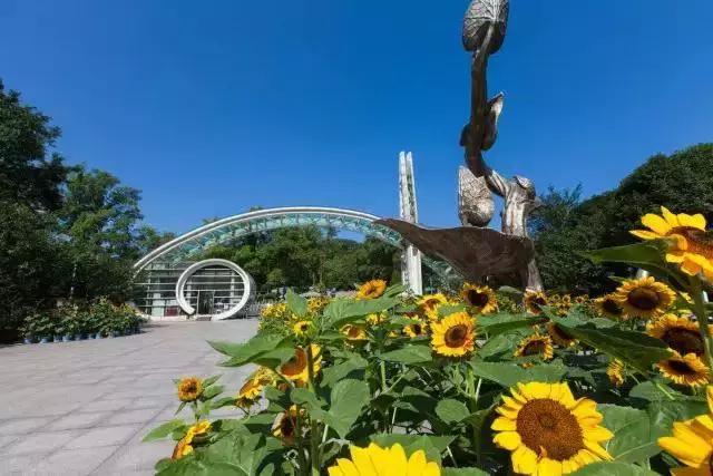 廈門(mén)植物園最新探索之旅，自然美景盡收眼底