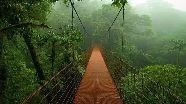 最新河道水情示意圖，自然美景的探索之旅啟動(dòng)！